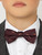 Boys burgundy fox dickie bow