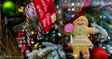 MERRY CHRISTMAS FROM NEWPOWA