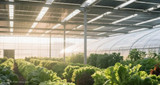 SOLAR POWER FOR GREENHOUSES: EXTENDING THE GROWING SEASON OFF-GRID