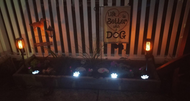 HALLOWEEN SOLAR LIGHTS