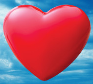 Are Cholesterol-lowering Drugs Hurting Your Heart?