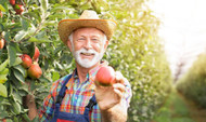 November 1st Is National Vinegar Day