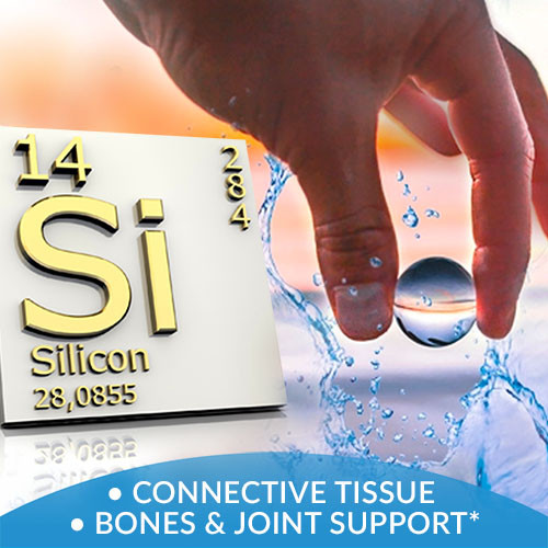 Connective Tissue, Bones & Joint Support