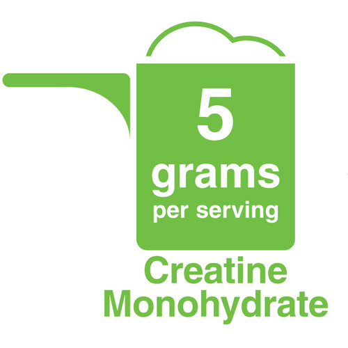 Creatine Monohydrate Micronized Powder 5 grams per serving