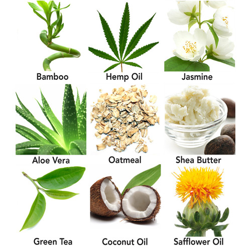 Eniva Replenish Natural Hydrating Lotion, Coconut Oil, Hemp Oil, Bamboo, Oatmeal, Aloe Vera, Green Tea, Shea Butter, Jasmine, Safflower Oil