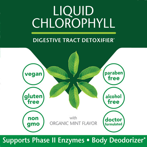 Liquid Chlorophyll, Digestive Tract Detoxifier, Supports Phase II Enzymes, Body Deodorizer, Paraben Free, Gluten Free, Alcohol Free, Vegan, Healthy Skin, ID 11005