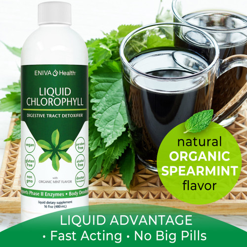 Liquid Greens Chlorophyll, Fast Acting, No Pills, Easy to take Liquid, Natural Organic Spearmint Flavor