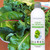 The power of greens