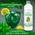 Eniva Bio-Chlor® Liquid Greens, 16 oz, chlorophyll liquid with Mint, Detox, Skin, Purify