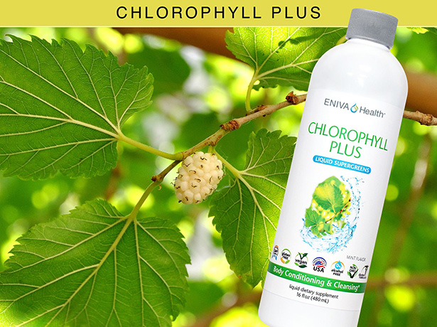 chlorophyll-web-details-1.jpg