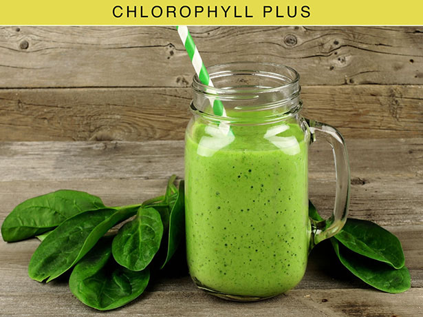 chlorophyll-web-details-10.jpg