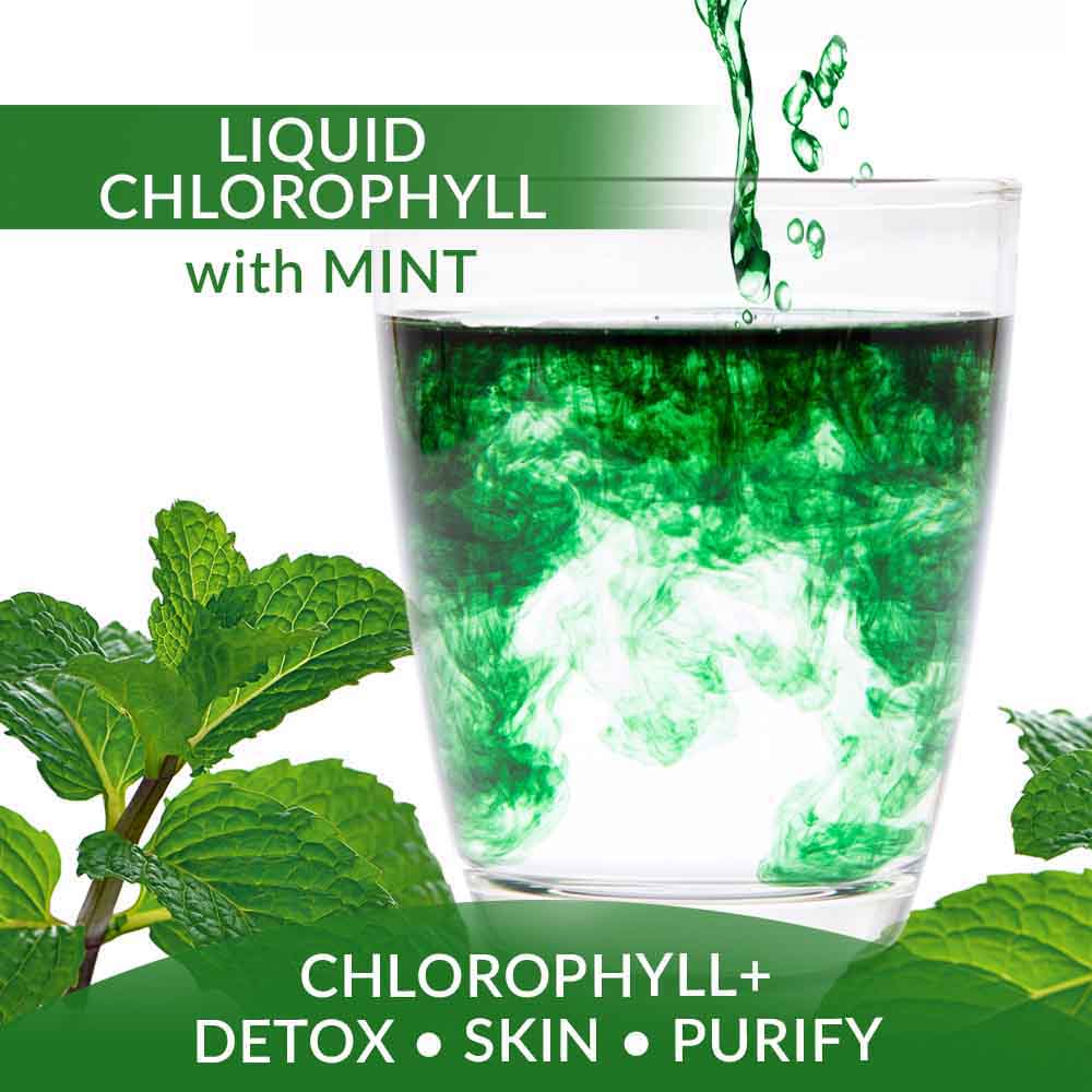 cta-mar-chlorophyll-drops-1.jpg