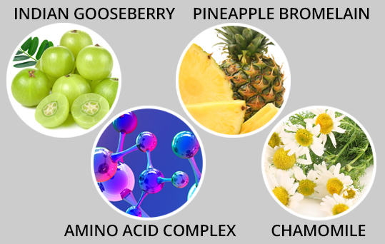 detail-lung-ingred-immune-amino.jpg detail-lung-ingred-immune-amino.jpg