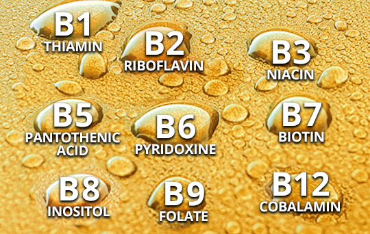 prod-vit-b1-thiamin-b2-riboflavin-b3-niacin-b5-pantothenic-acid-b6-pyridoxine-b7-biotin-b8-inositol-b9-folate-b-b12-cobalamin.jpg