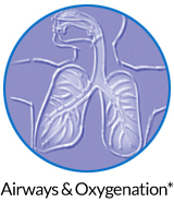 pw-ov-airways.jpg pw-ov-airways.jpg