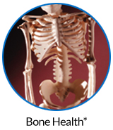 pw-ov-bone.jpg pw-ov-bone.jpg