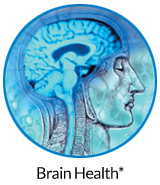 pw-ov-brain.jpg pw-ov-brain.jpg