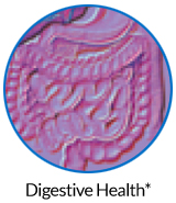 pw-ov-digest.jpg pw-ov-digest.jpg