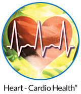 pw-ov-heart.jpg pw-ov-heart.jpg