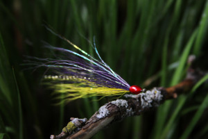 Tackle Fortress Walleye/White Bass Streamer Fly - 2Color (2pack)