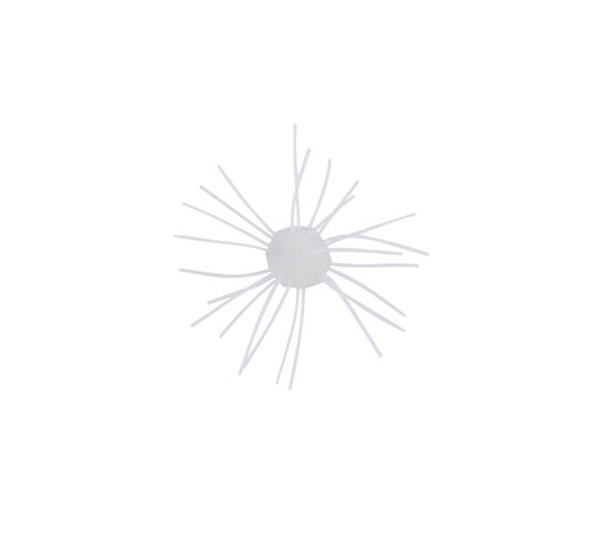 Alternative banner alt