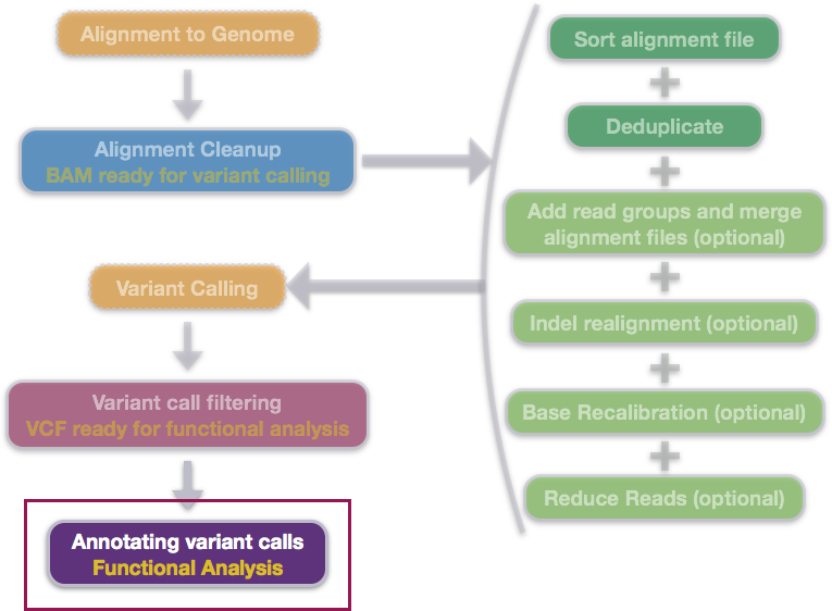 variant-calling-workflow-3.png