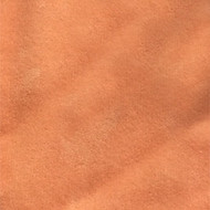 Cantaloupe