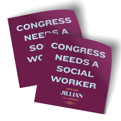 Congress Needs A Social Worker (4" x 4" Vinyl Sticker -- Pack of Two!)