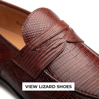 Lizard Shoes