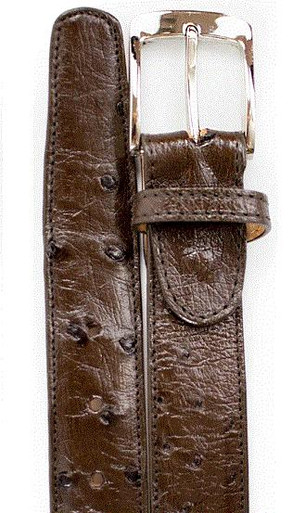 Men's Belvedere Genuine Ostrich Quill Dress Belt in Brown main image 0
