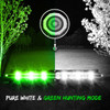 XKGLOW XK-BAR-38 Multi-Color RGBW LED Light Bars with XKchrome Smartphone App - 38"