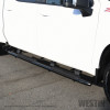 Westin 2019-2026 Chevy Silverado/Sierra 1500 Crew Cab Non LD PRO TRAXX 4 Oval Nerf Step Bars - Black