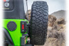 Turn Offroad Tire Carrier and Tailgate Reinforcement
