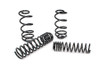 JKS Dual Rate 2in Lift Coil Spring Set