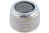 Dana Differential Drain Plug