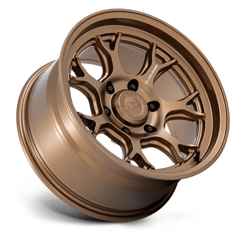Black Rhino Wheels Etosha BR017 Matte Bronze 17x8.5 -10mm Offset 6x139.7 (6x5.5)