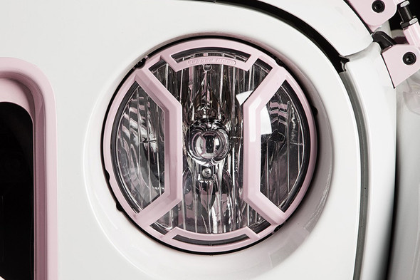 Rugged Ridge Elite Headlight Euro Guards, Raw
