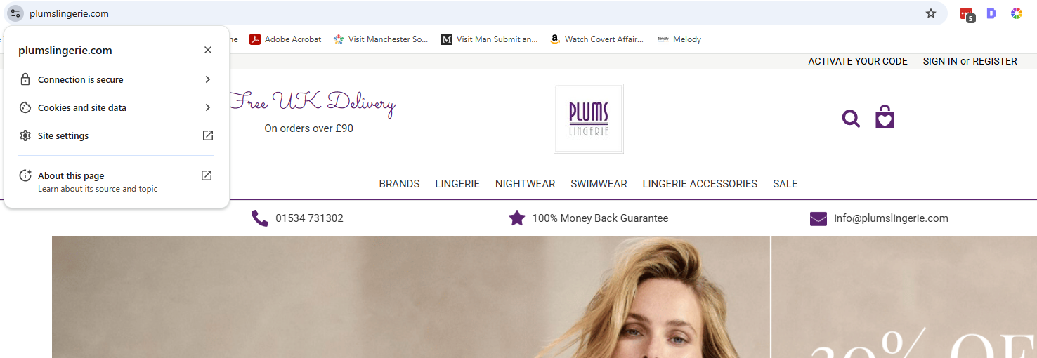 Plums Lingerie Site Security Icons