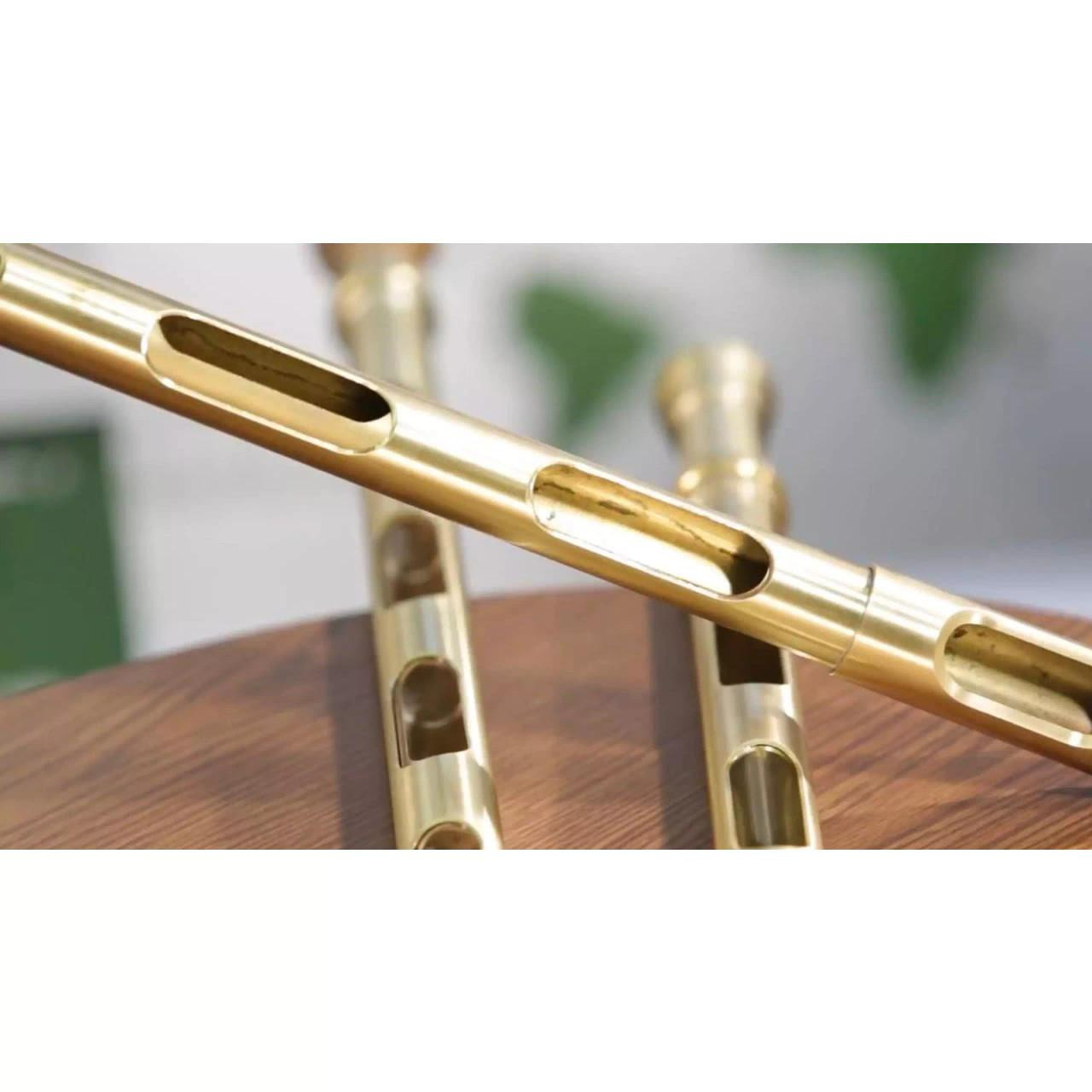 Open Handle Aluminum Dual-Tubed Probe, 12 Openings, 72in | CMTP