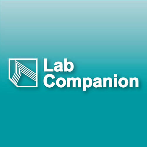  Lab Companion AAAJ6537 1.5mm Thickness Comb for Electrophoresis 