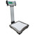  Adam Equipment CPWplus 200P Bench and Floor Scale, 440lb x 0.1lb 