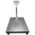 Adam Equipment GFK 600aM Floor Checkweighing Scale, 660lb x 0.1lb 