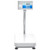  Adam Equipment BKT 165aH Label Printing Scale 