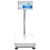  Adam Equipment BKT 660a Label Printing Scale 