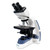 Velab VELAB VE-B3P Binocular Microscope with Sliding Eyepieces and Quadruple Nose Piece (Intermediate) 