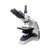 Velab VELAB VE-T2 Triocular Biological Microscope 