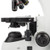 Velab VELAB Binocular Microscope, Eyepiece PL 10X/18mm, close-up view of the microscope showing the eyepieces and stage.
