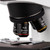 Velab VELAB VE-B300 Biological Binocular Microscope 