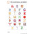 Fischer Technical Company Fischer Technical BS335, Anatomy Alphabet "Post It" Chart (pk of 10) 