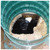  Polylok 30130-15, PL-68 Effluent Filter (Case of 15) 